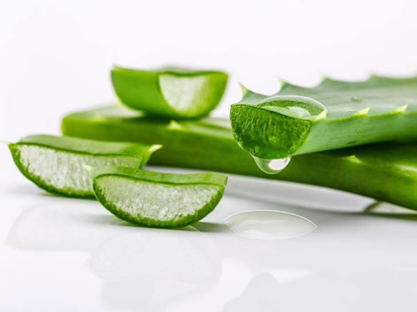 蘆薈螺旋壓榨機 蘆薈螺旋壓榨機