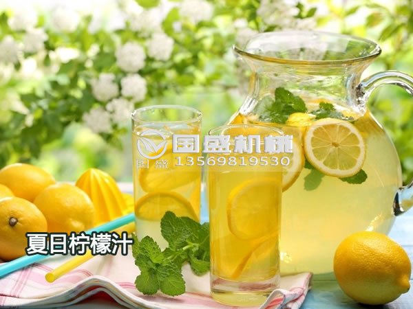 檸檬螺旋榨汁機(jī)型號(hào) 檸檬螺旋榨汁機(jī)型號(hào)