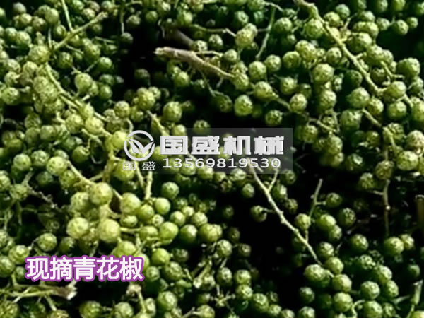 螺旋壓榨機(jī)彈簧 螺旋壓榨機(jī)彈簧